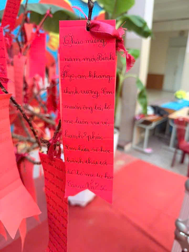 KHI YÊU THƯƠNG NỞ HOA TRÊN GỐC CÂY ƯỚC NGUYỆN...