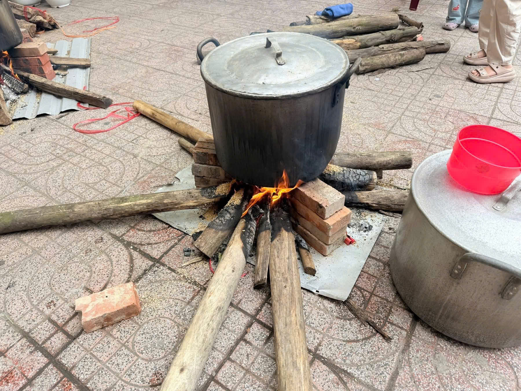 KHI YÊU THƯƠNG NỞ HOA TRÊN GỐC CÂY ƯỚC NGUYỆN...