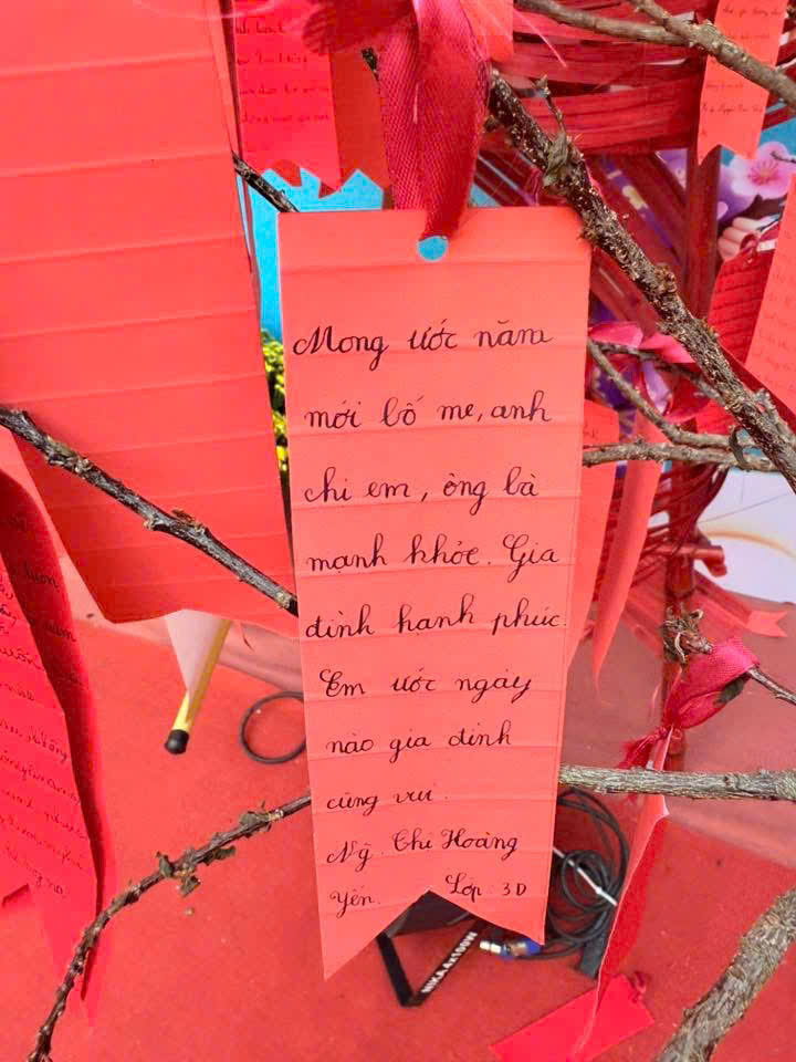 KHI YÊU THƯƠNG NỞ HOA TRÊN GỐC CÂY ƯỚC NGUYỆN...